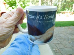 Oxbow mug 2