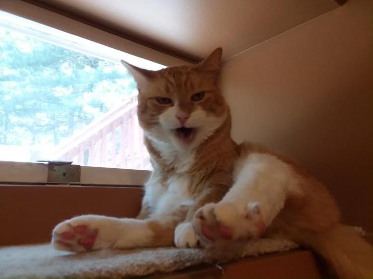 Resized952018070195130901001953820