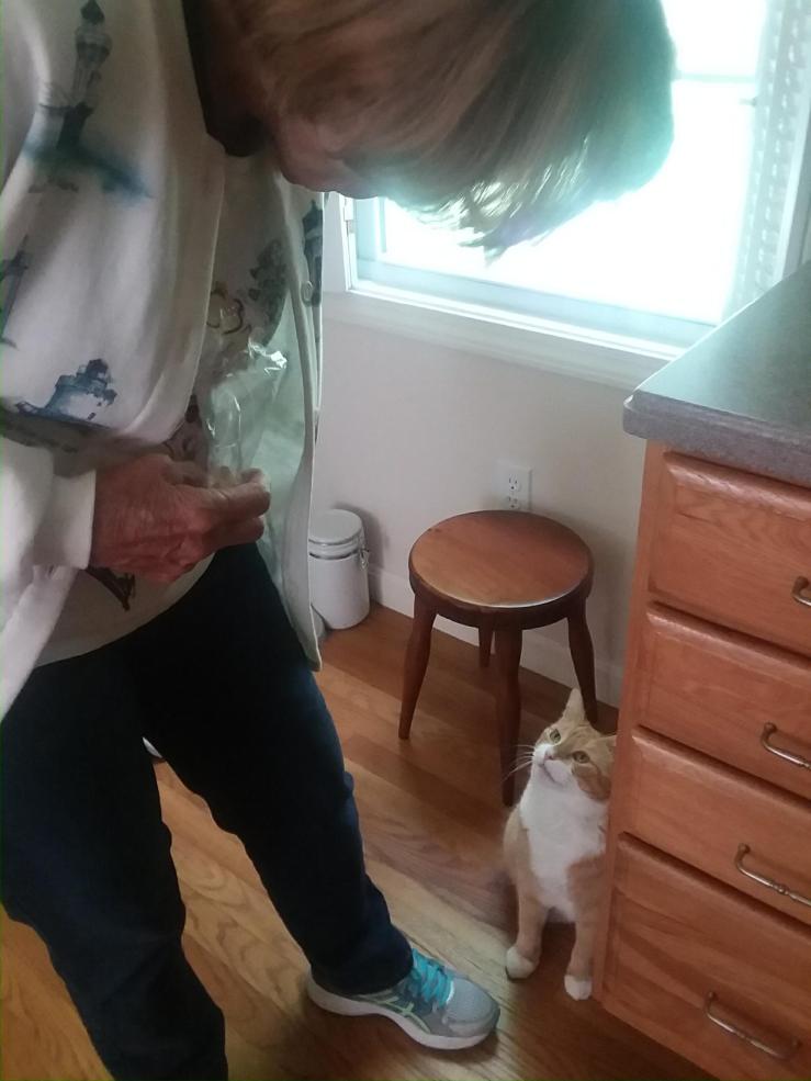 Resized952018082595102844953751