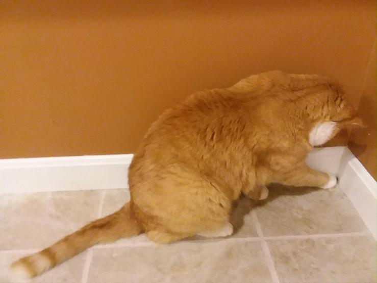 Resized952018092195201251956386