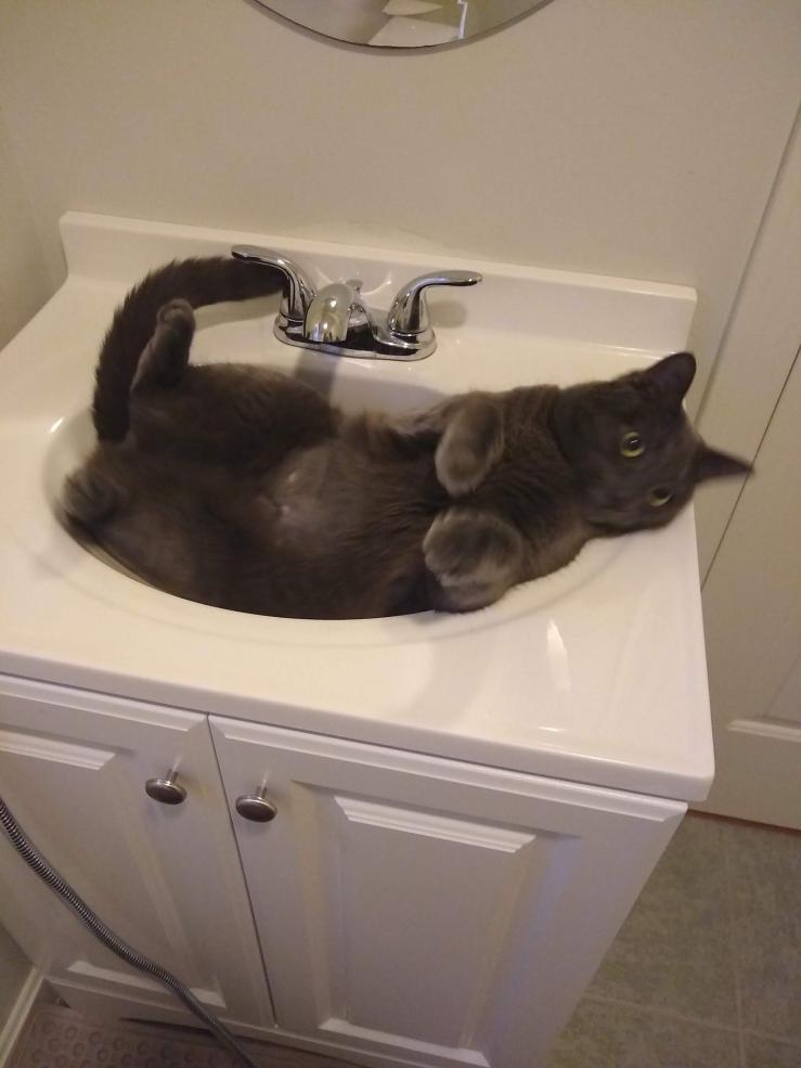 sink